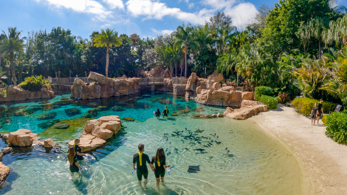 Teen drowns at Discovery Cove theme park in Orlando | wtsp.com