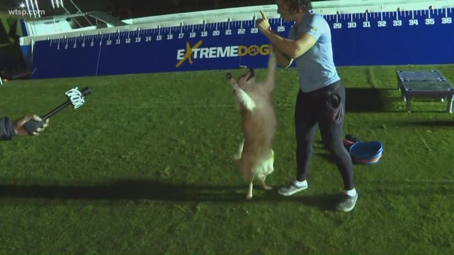 Jabari Thomas meets a dog that will be performing tricks at the Florida State Fair.