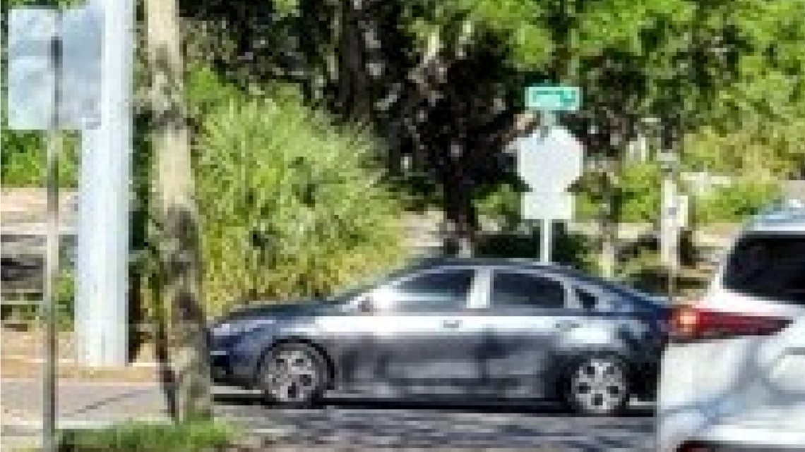 Do you recognize this car? Police say it was involved in a hit-and-run in Tarpon Springs