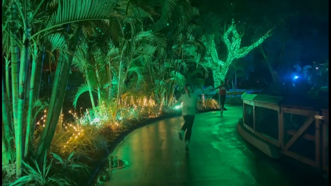 Christmas in the Wild at Zoo Tampa