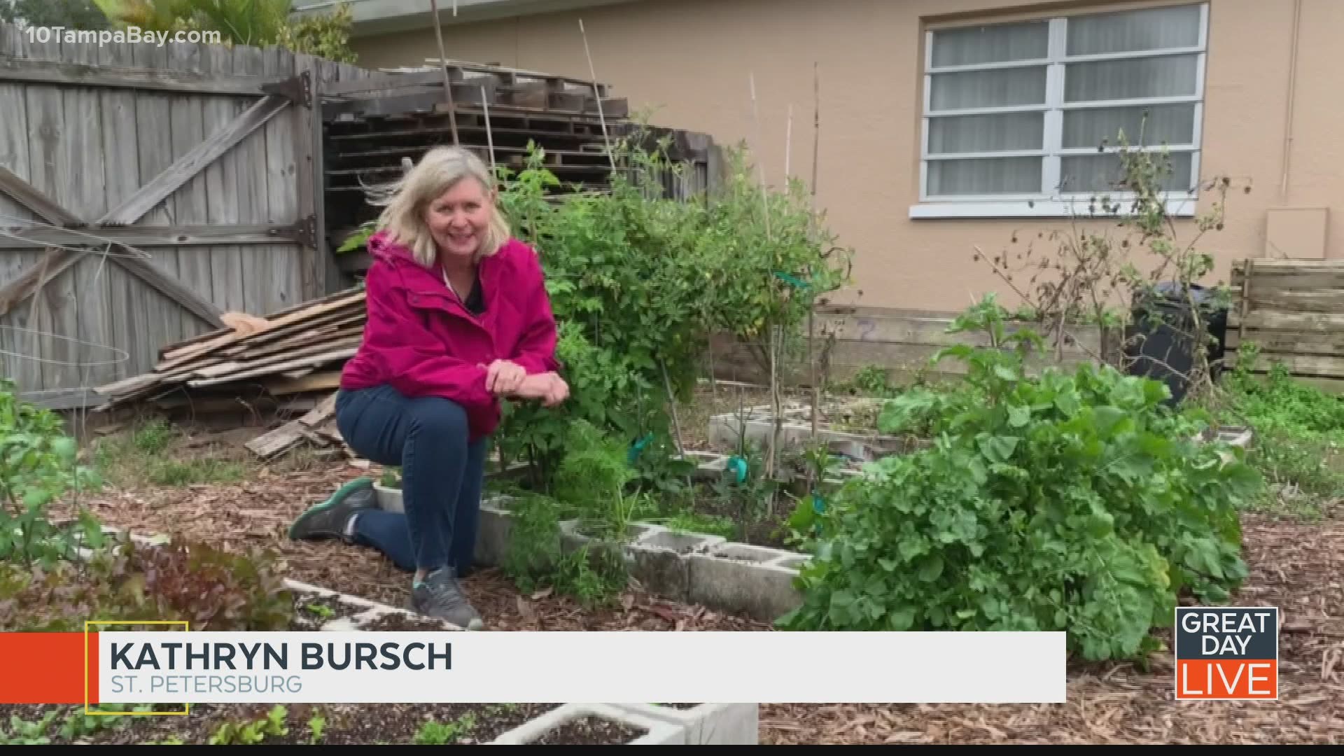 A $10,000 grant from 10 Tampa Bay and the TEGNA Foundation help kids create a community garden.