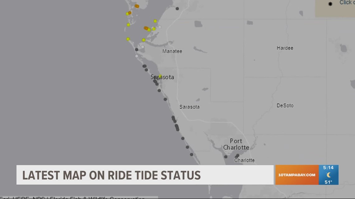 Red tide drops to low levels in Tampa Bay area