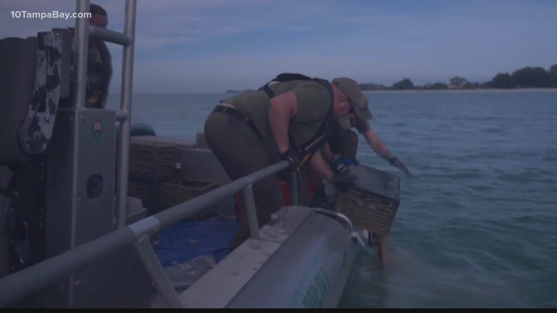 Former Buccaneers were among those diving to retrieve marine debris and discarded fishing gear from the waters.