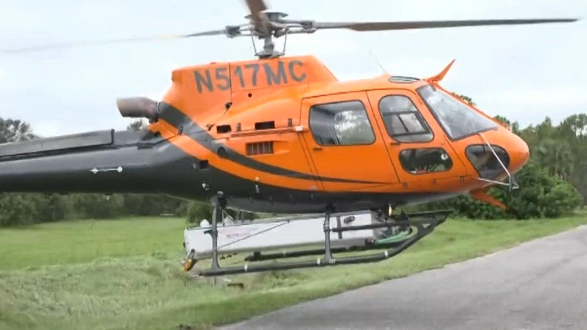 Missing Tennessee girl found in Florida after being abducted and ...