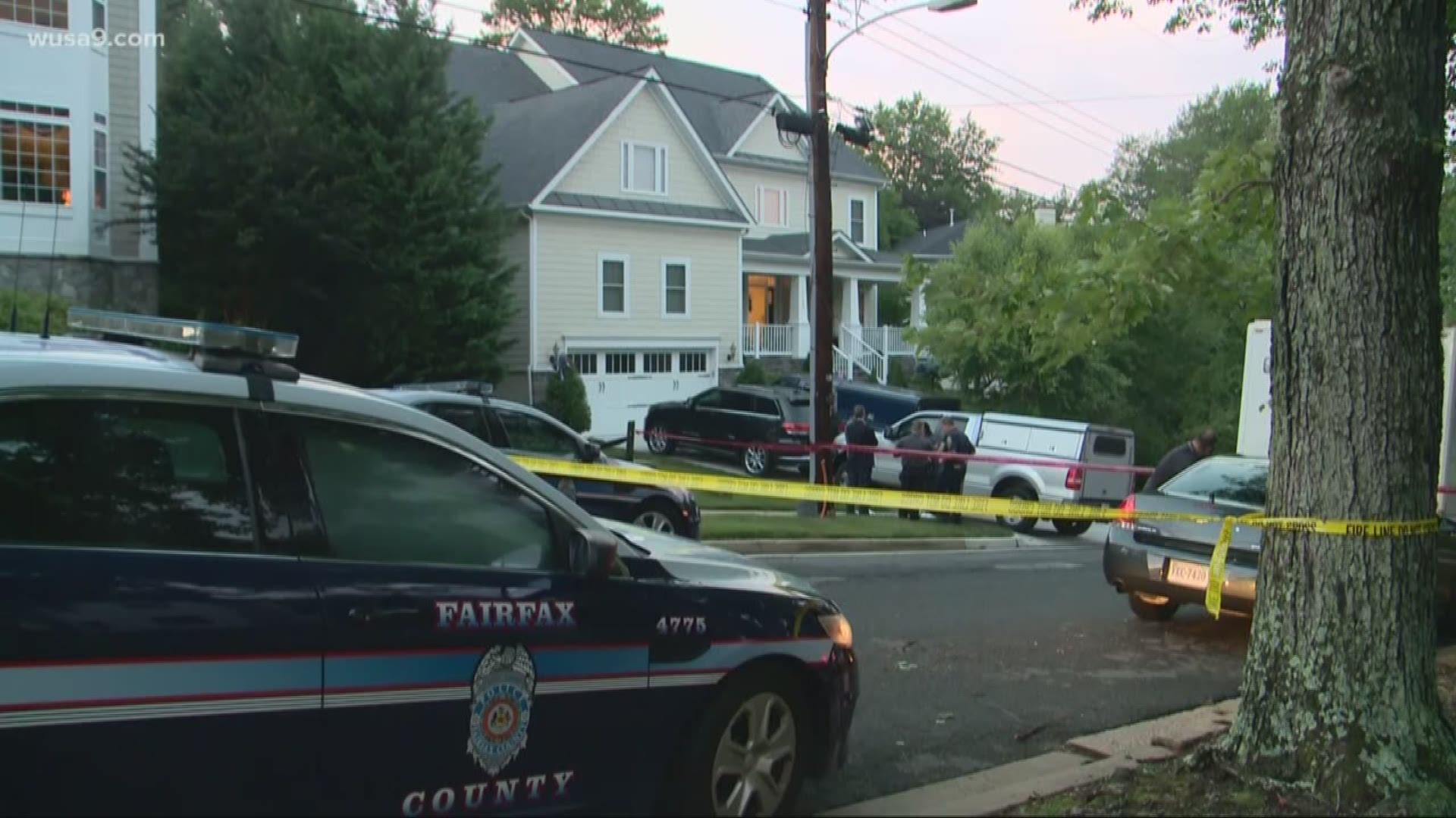 Woman arrested in murder of her sister and mother in their McLean home ...