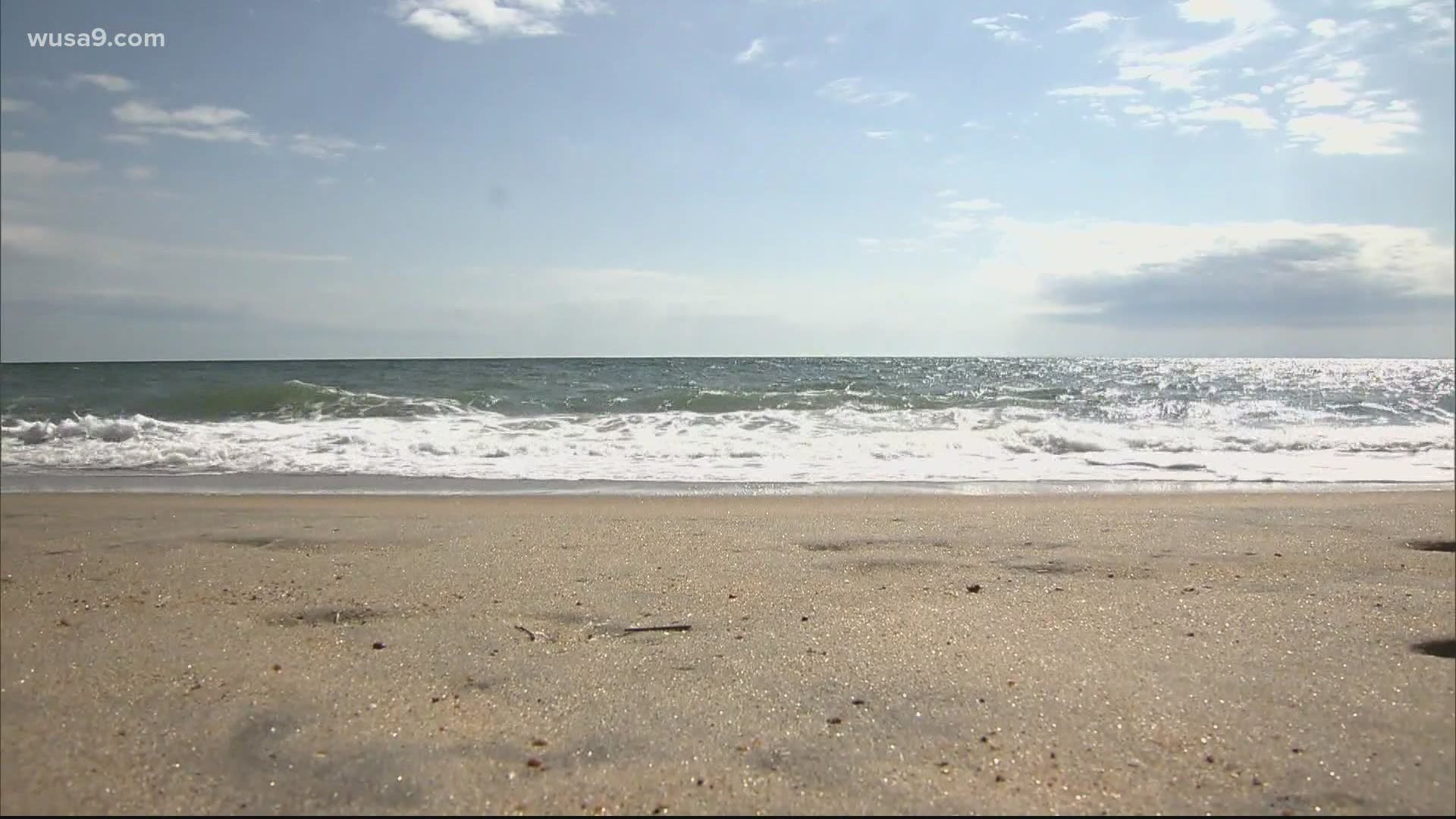 A beach worker grabbed an algae-covered surfboard and pulled the 71-year-old Falls Church man to safety.