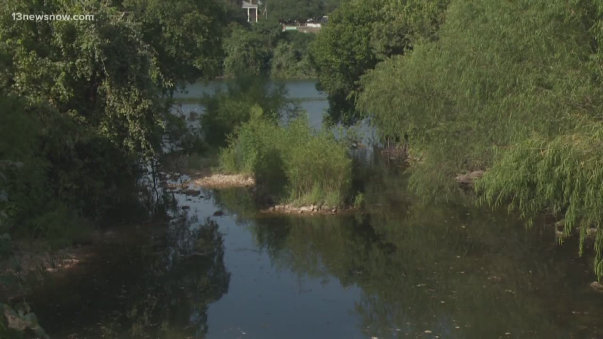 A North Carolina woman is devastated after her three dogs suddenly died after an afternoon of playing in and around water. Now she wants to warn other dog owners about the potential dangers in our own backyards.