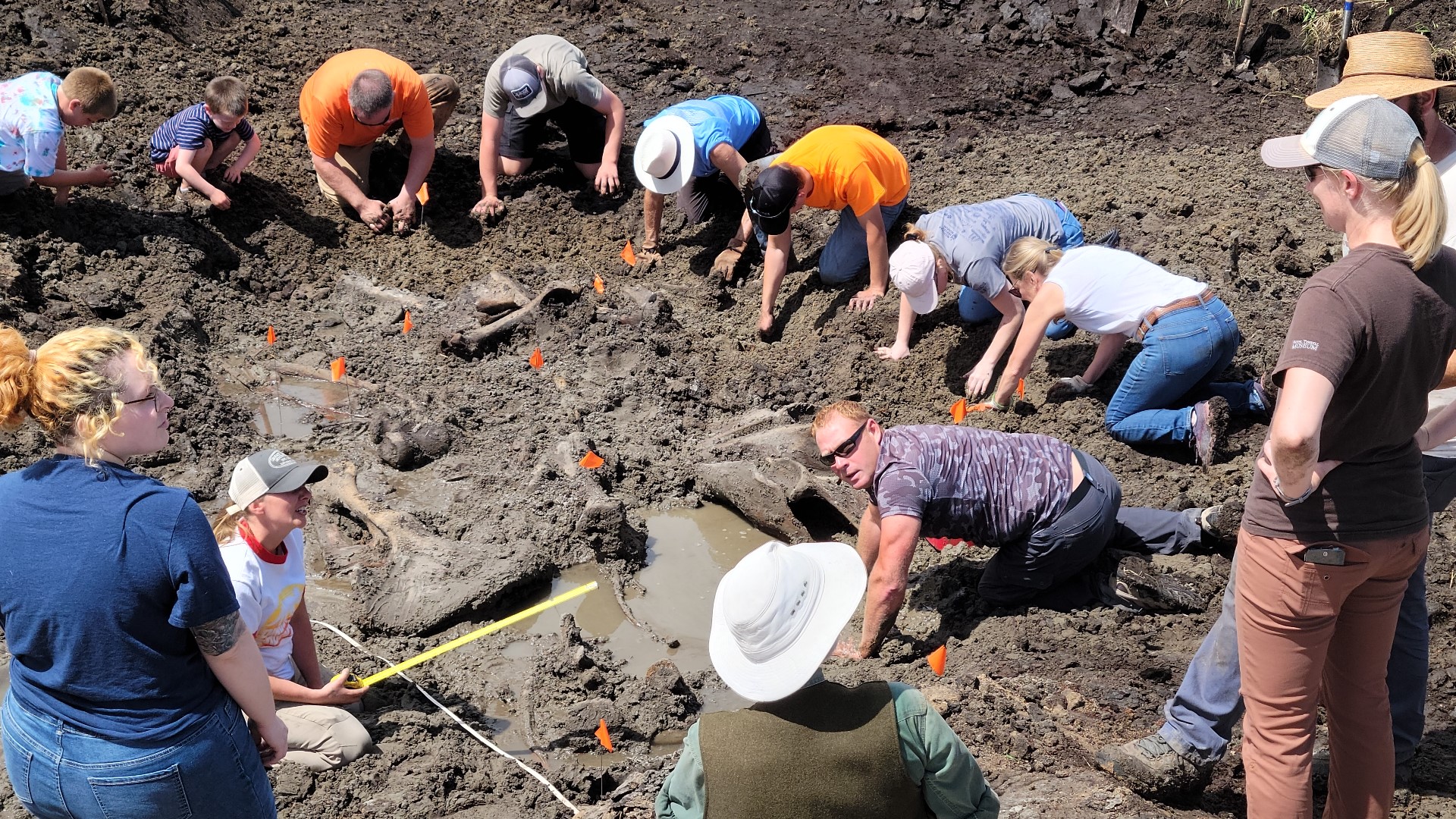 A crew was doing drain work in Kent County when they made a historic discovery — mastodon bones that are at least 11,000 years old.